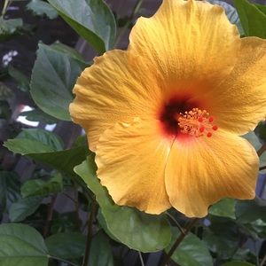 Meet your Posher, Leslie